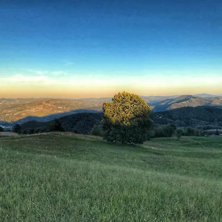 La Tana Del Picchio-2